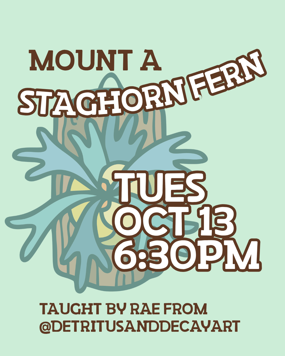 Mount a Staghorn Fern workshop flyer, Tuesday, October 13 at 6:30pm.